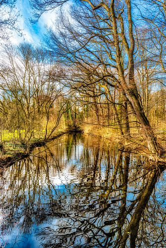 Schoonheid van de natuur weerspiegeling van bomen in water in de herfst