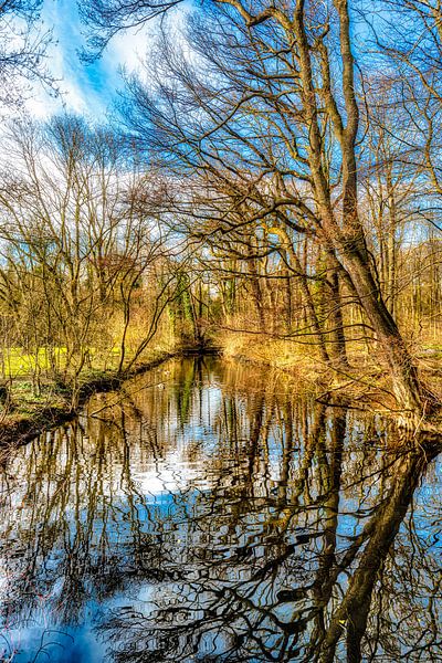 Schoonheid van de natuur weerspiegeling van bomen in water in de herfst van Dieter Walther