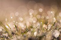 Glitzern 