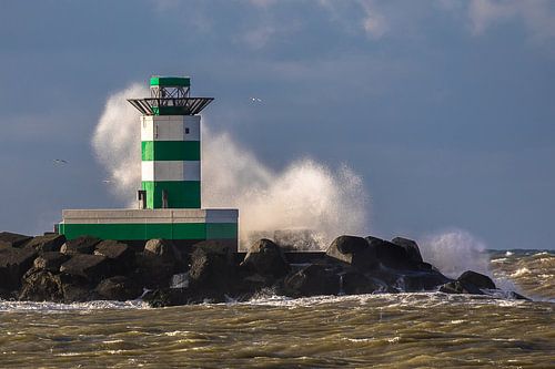 Pier van IJmuiden