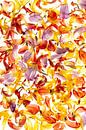 Kleurige  bloemblaadjes van Tulpen van Klaartje Majoor thumbnail