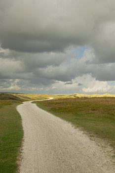 Radweg durch die Dünen von Ameland