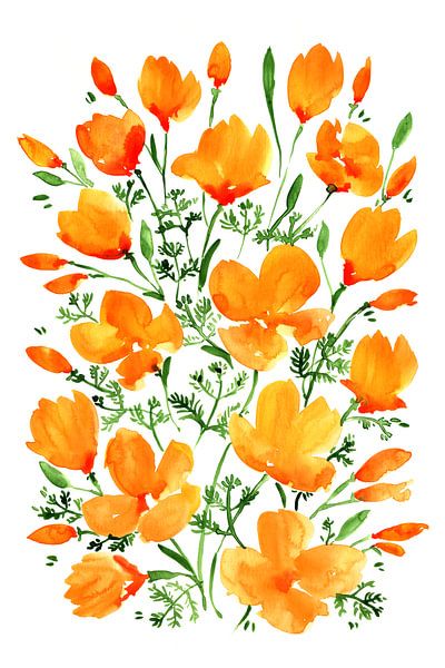 Aquarell Kalifornische Mohnblumen von Rosana Laiz Blursbyai