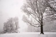 Winter Park van Ton van Buuren thumbnail
