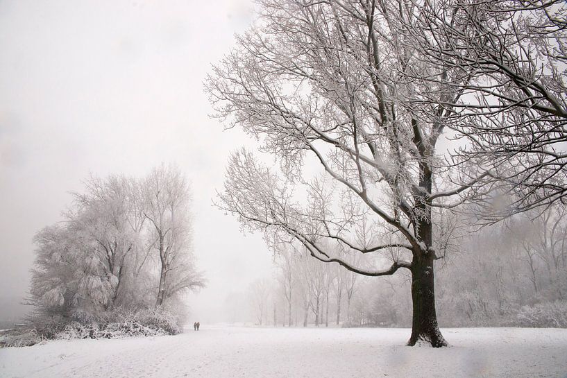 Winter Park van Ton van Buuren