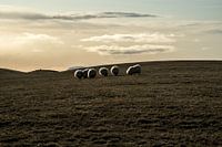 Iceland Afternoon light