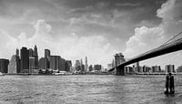New York Panorama