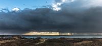 Neeltje Jans van wim harwig thumbnail