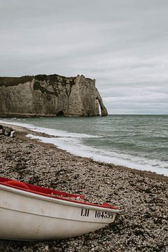 Normandië kust van Étretat Frankrijk van Sanne van Es