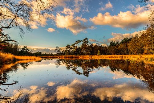 Rêvasser dans les reflets