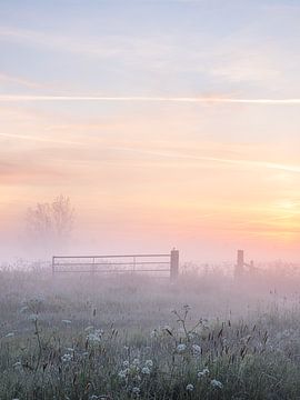 Mistige zonsopkomst in de polder van Elise van den Boogaart