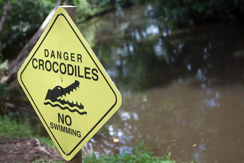 Achtung Krokodile - Costa Rica von t.ART