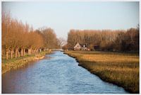 Delftse Hout