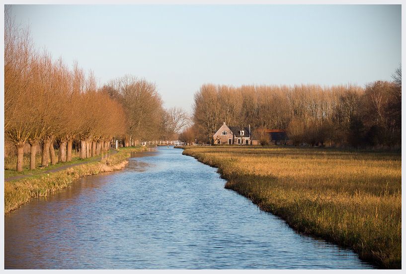 Delftse Hout von Wendy Kops