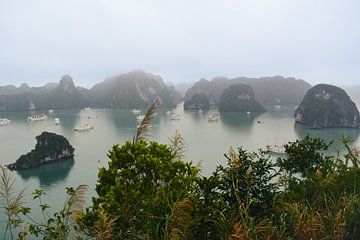 Ha Long Bay, Vietnam van Romana Krijger