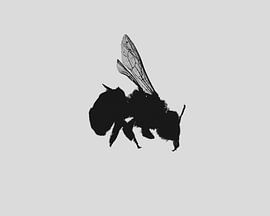 BUMBLEBEE