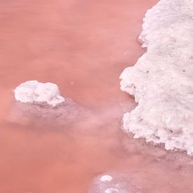 Close-up pink salt field by Ingrid Bargeman