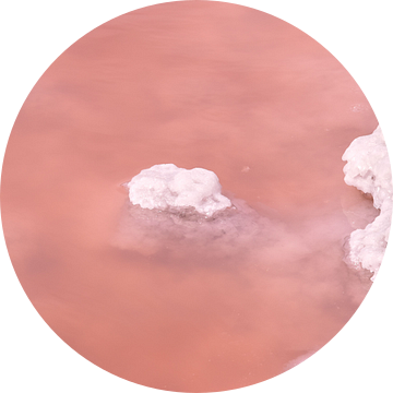 Close-up roze zoutvlakte van Ingrid Bargeman