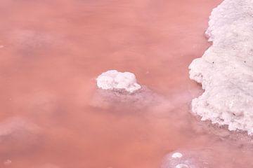 Nahaufnahme Rosa Salzflächen von Ingrid Bargeman