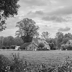 Bauernhof in Veluwe von Wessel Krul