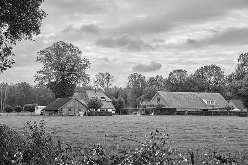 Farm in Veluwe