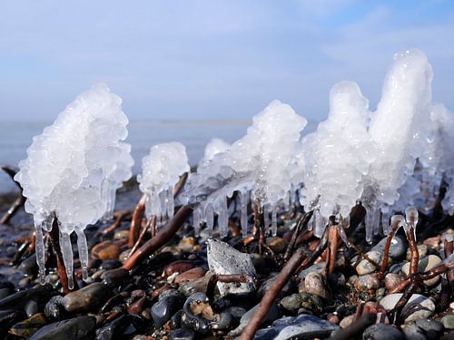 Eis am Stiel – Darß Weststrand im Winter 2018