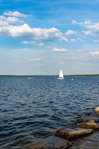 Voilier sur le lac de Senftenberg, dans la région des lacs du Brandebourg sur Animaflora PicsStock