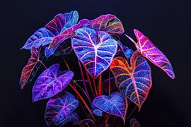 Lila Zimmerpflanze botanisch digitaler Kunstdruck von Vlindertuin-Art