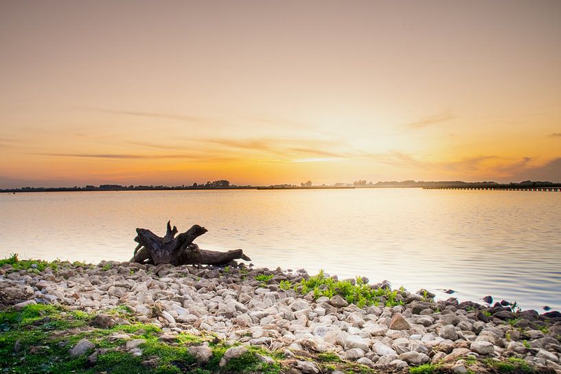 Rest von Marinus Engbers