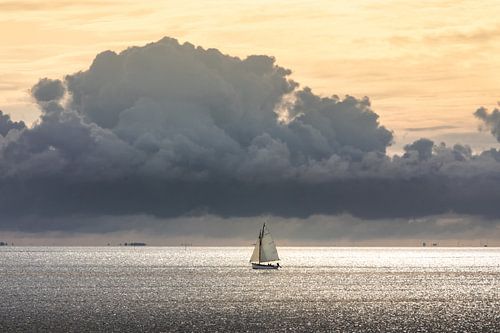 The Treasure Journey