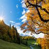 Autumn in Garmisch with Zugspitze by Dieter Meyrl