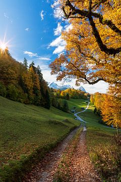 Herbst  in Garmisch mit Zugspitze von Dieter Meyrl