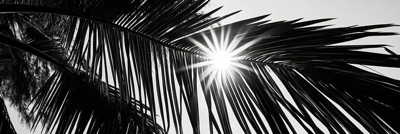 Zonnestralen door palmbladeren van Poster Art Shop