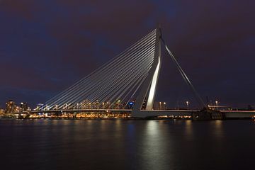 Rotterdam Erasmusbrug bij nacht