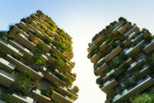 De Bosco Verticale in Gouden Zonlicht