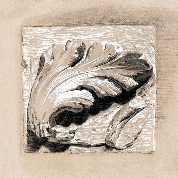 Feuille d'acanthe par Mad Dog Art