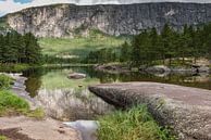 national park in norway with reflection of mountains  von ChrisWillemsen Miniaturansicht