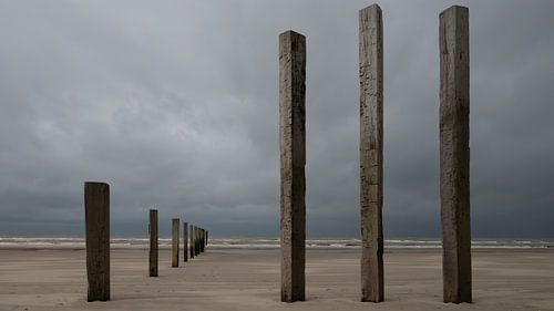 Natuurgebied Noortvoort