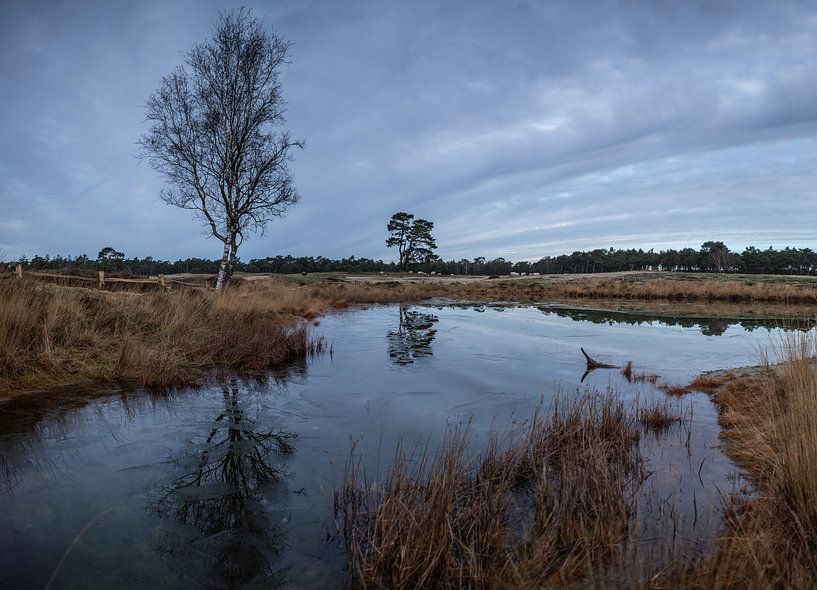 Forest lake Heidestein Bornia estate! by Peter Haastrecht, van