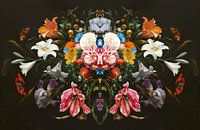 Still Life - The Wonders