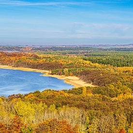 Herbstliche Wälder und Jasmunder Bodden auf der Insel Rügen von Rico Ködder