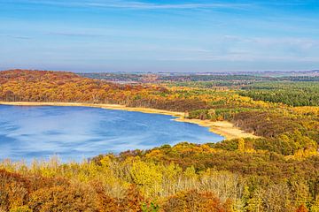 Herbstliche Wälder und Jasmunder Bodden auf der Insel Rügen von Rico Ködder