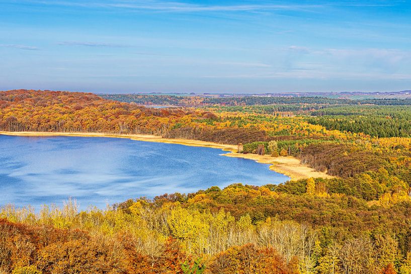 Herfstbossen en Jasmund Bodden op het eiland Rügen van Rico Ködder
