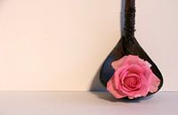 Stilleven; Roze roos op een lepel van Cora Unk thumbnail