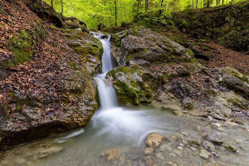 Wasserfall in Kochel von Teresa Bauer