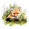 Aquarelle - Mignon renard sur Pixelbull Design
