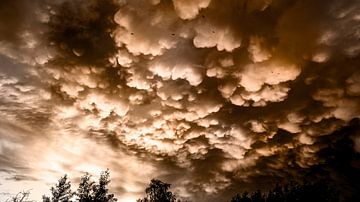 Bedrohlicher Himmel, dramatisches Wolkenfest in den Niederlanden