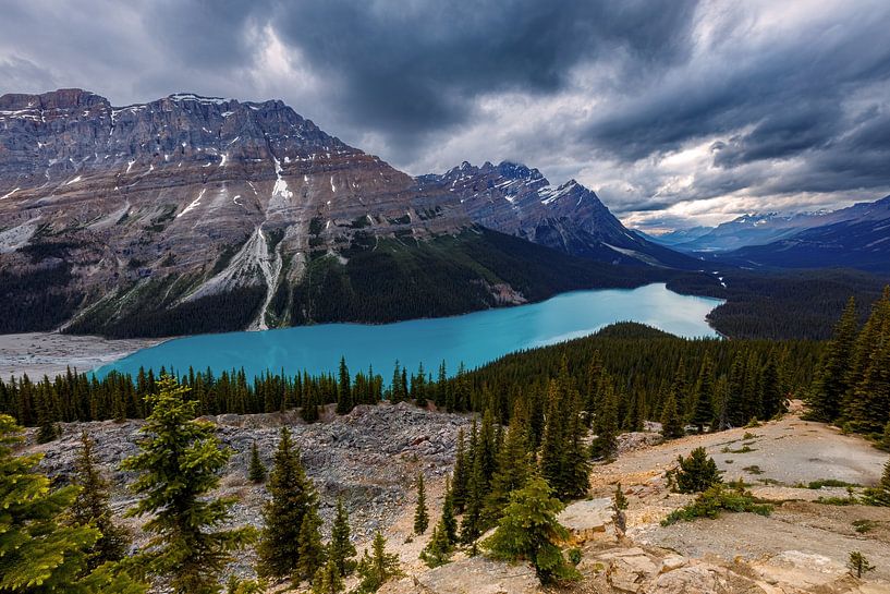 Der Lake Peyto in den Rocky Mountains von Roland Brack