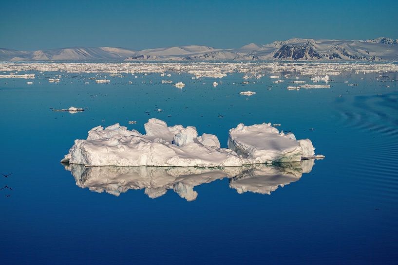 Eisscholle mit Spiegelung Spitzbergen von Merijn Loch