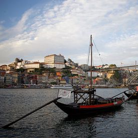 Die schöne Brücke in Porto! von Sjardee Visser